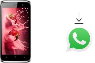 How to install WhatsApp in a Bluboo Mini