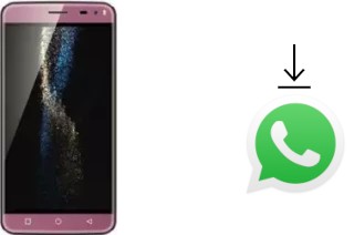 How to install WhatsApp in a Bluboo Xfire 2