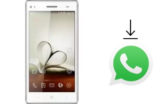 How to install WhatsApp in a Brandcode B11