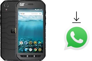 How to install WhatsApp in a Cat S41