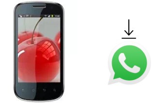 How to install WhatsApp in a Celkon A19