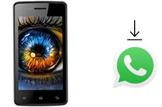 How to install WhatsApp in a Celkon Campus Colt A401