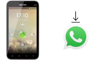 How to install WhatsApp in a Celkon A900