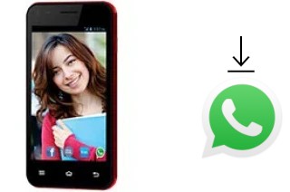 How to install WhatsApp in a Celkon Campus Whizz Q42