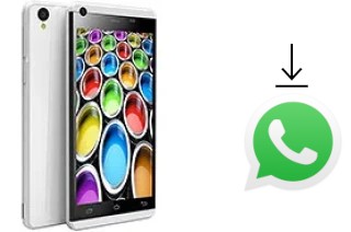 How to install WhatsApp in a Celkon Q500 Millennium Ultra