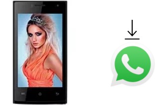 How to install WhatsApp in a Celkon Campus Crown Q40