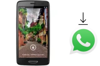 How to install WhatsApp in a Changjiang N5300