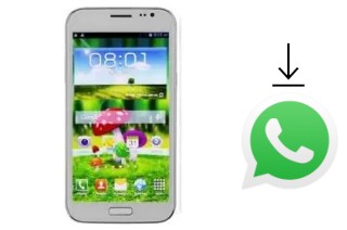 How to install WhatsApp in a Changjiang N7100