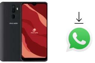 How to install WhatsApp in a Cherry Mobile Flare Y20