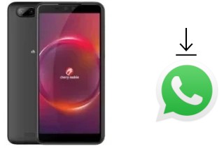 How to install WhatsApp in a Cherry Mobile Flare Y6 Pro