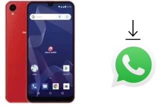 How to install WhatsApp in a Cherry Mobile Flare Y7