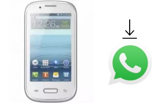 How to install WhatsApp in a Citycall CITYCALL I599