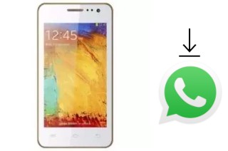 How to install WhatsApp in a Citycall CITYCALL I980 Plus