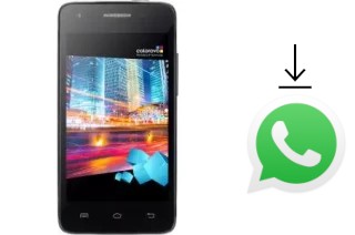 How to install WhatsApp in a Colorovo Citytone Lite