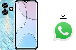 How to install WhatsApp in a Coolpad C15