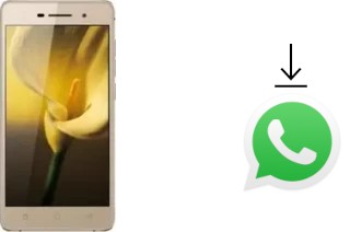 How to install WhatsApp in a Coolpad TipTop mini