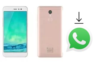 How to install WhatsApp in a Coolpad TipTop N1S