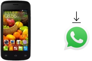 How to install WhatsApp in a Cubot GT95