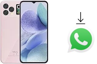 How to install WhatsApp in a Cubot Hafury V1