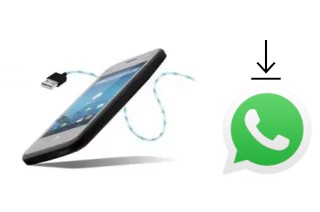 How to install WhatsApp in a Danew Konnect 350