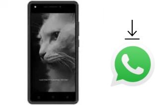 How to install WhatsApp in a DEXP BL250