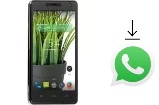 How to install WhatsApp in a DEXP Ixion XL 5