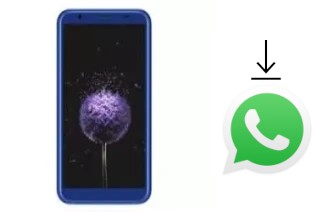 How to install WhatsApp in a DEXP Z355