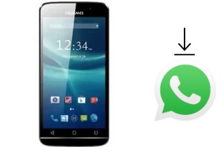 How to install WhatsApp in a DigiLand DL5503QL