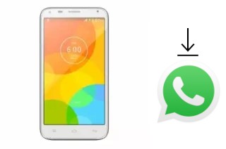 How to install WhatsApp in a Ding Ding SK1