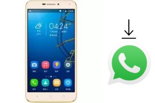 How to install WhatsApp in a Ding Ding SK7