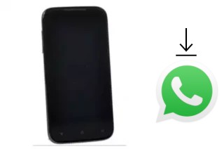 How to install WhatsApp in a DNS S4506