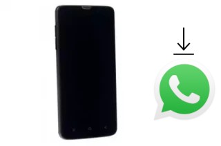 How to install WhatsApp in a DNS S4704