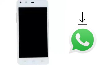 How to install WhatsApp in a DNS S4705