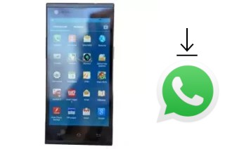 How to install WhatsApp in a DNS S5008