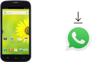 How to install WhatsApp in a Doogee Discovery DG500C