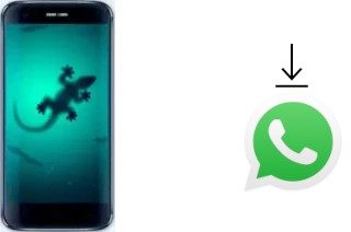 How to install WhatsApp in a Doogee F3 Pro