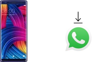 How to install WhatsApp in a Doogee Mix 2