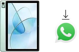 How to install WhatsApp in a Doogee T10S