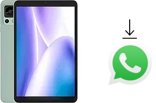 How to install WhatsApp in a Doogee T20mini