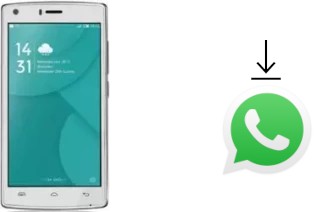 How to install WhatsApp in a Doogee X5 Max Pro