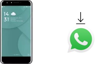 How to install WhatsApp in a Doogee Y6