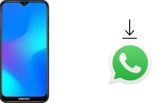 How to install WhatsApp in a Doogee Y8 Plus