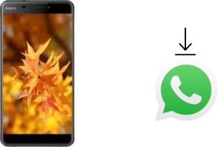 How to install WhatsApp in a Doopro C1 Pro