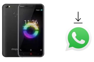 How to install WhatsApp in a Doopro P2