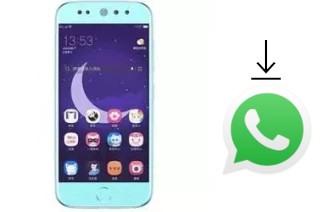 How to install WhatsApp in a Doov L525