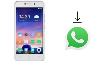 How to install WhatsApp in a Doov V31