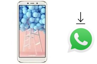 How to install WhatsApp in a Doov V33