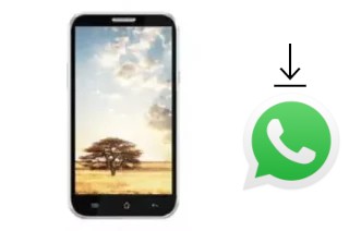 How to install WhatsApp in an effire CityPhone Lion