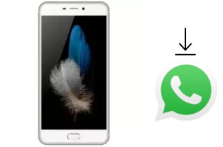 How to install WhatsApp in an Eko Star G50