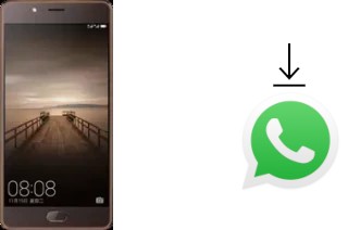 How to install WhatsApp in an Elephone P8 (2017)